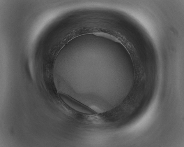 X0000116550239200912241601