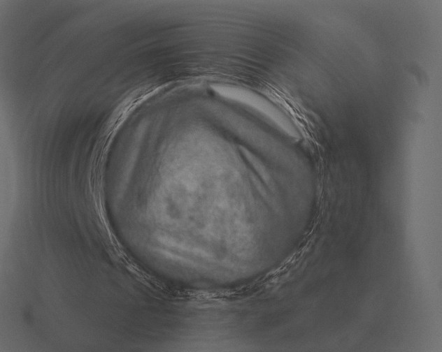 X0000116550241200912241601