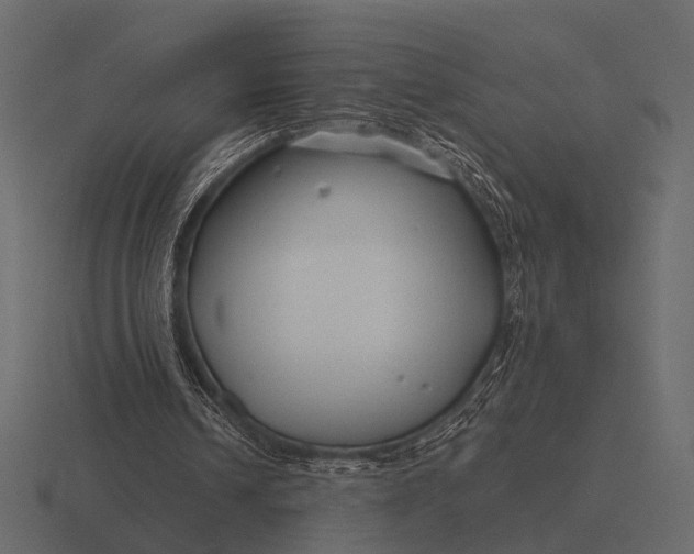 X0000116550242200912241601