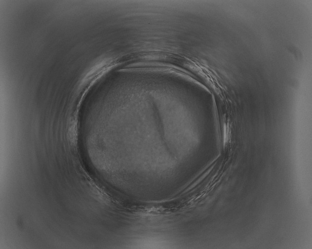 X0000116550243200912241601