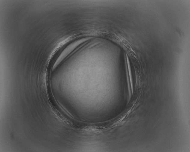 X0000116550244200912241601