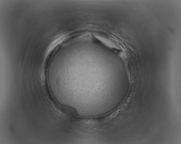 X0000116550245200912241601