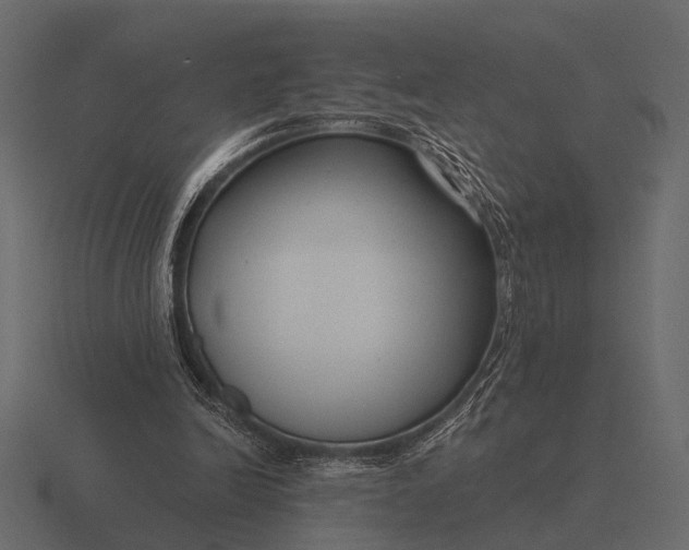 X0000116550246200912241601