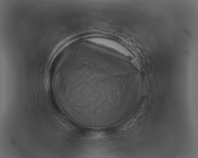 X0000116550247200912241601