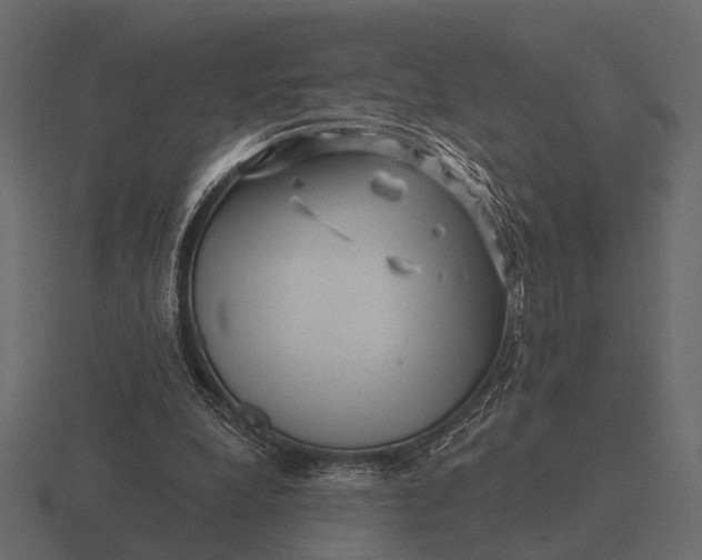 X0000116550248200912241601