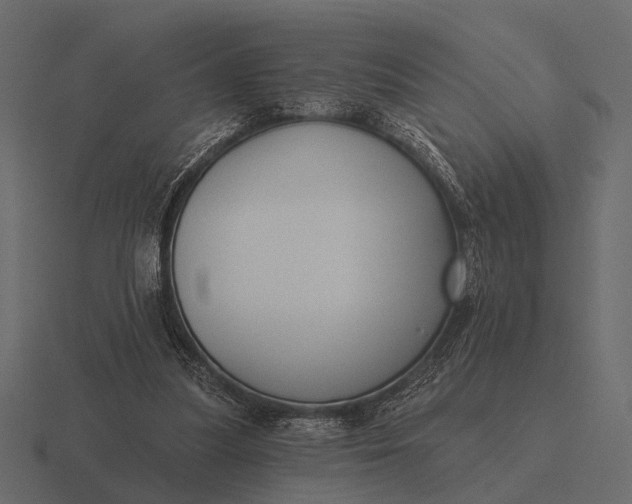 X0000116550251200912241601