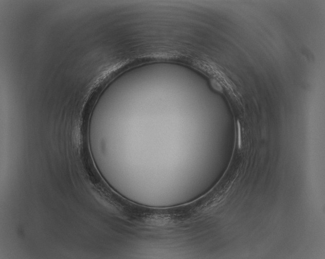 X0000116550252200912241601