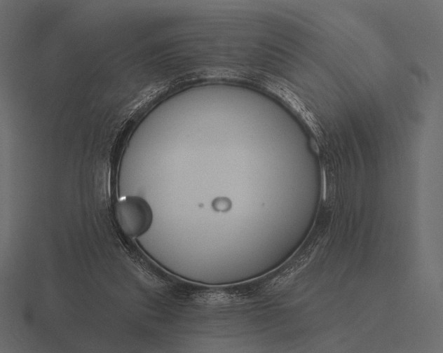 X0000116550253200912241601