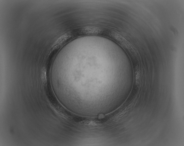 X0000116550254200912241601