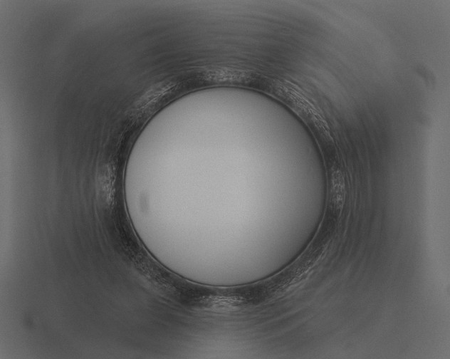 X0000116550255200912241601