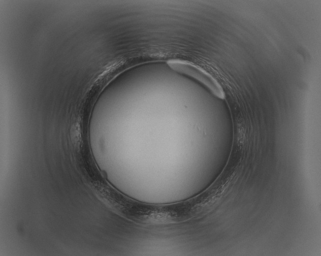 X0000116550256200912241601