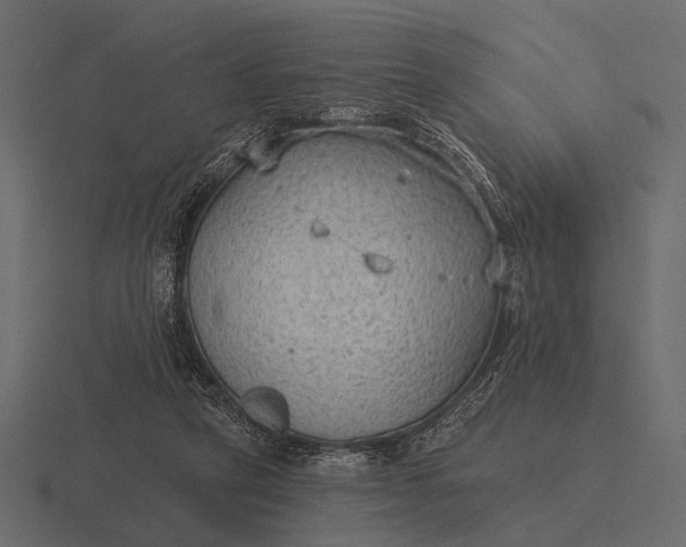 X0000116550257200912241601