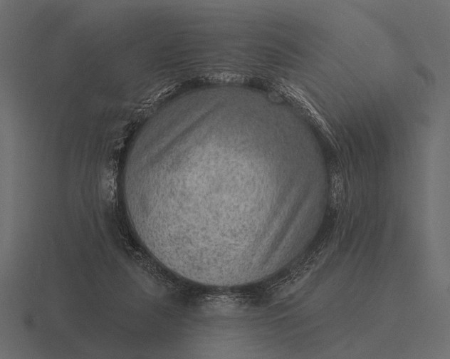 X0000116550259200912241601