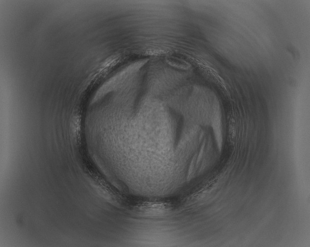 X0000116550260200912241601