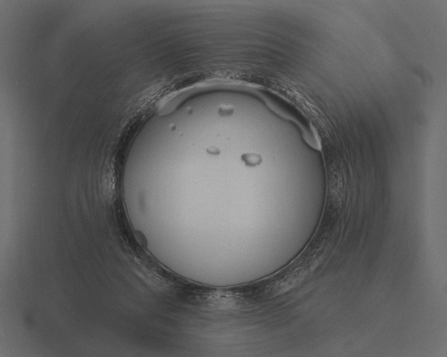 X0000116550261200912241601