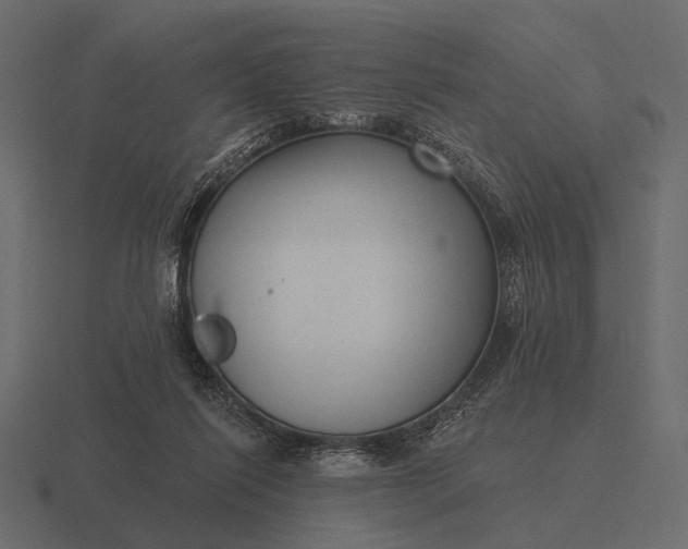 X0000116550262200912241601