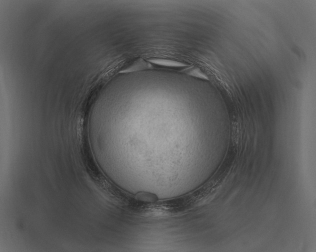 X0000116550263200912241601