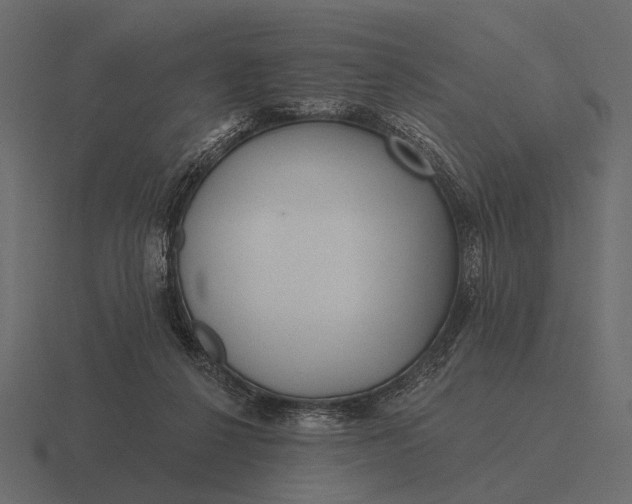 X0000116550264200912241601