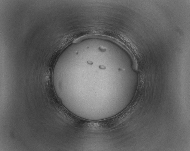 X0000116550265200912241601