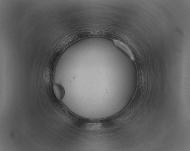 X0000116550266200912241601