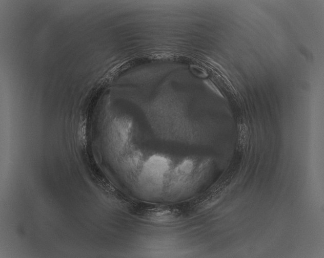 X0000116550267200912241601