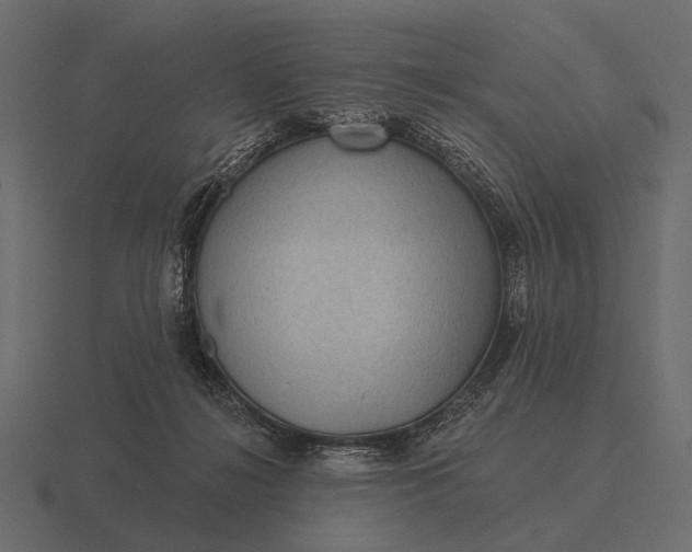 X0000116550268200912241601