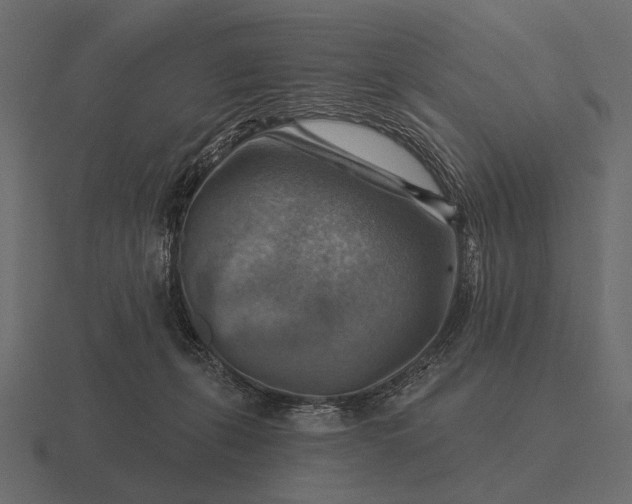 X0000116550271200912241601