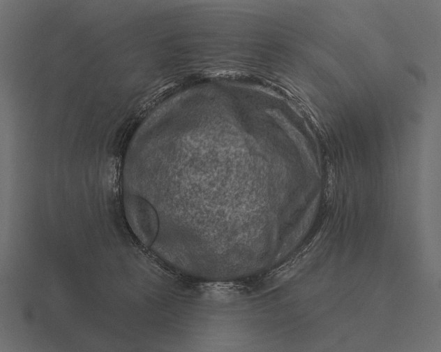 X0000116550273200912241601