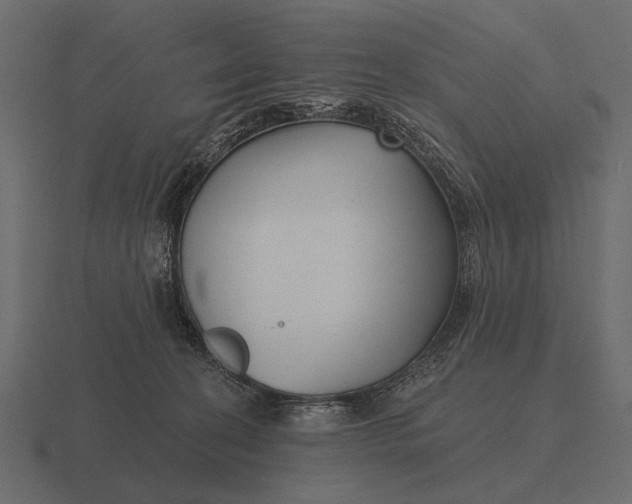 X0000116550274200912241601