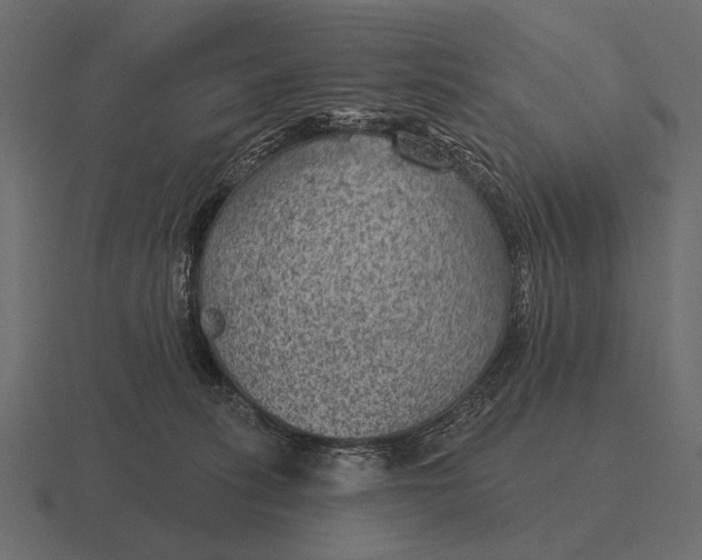 X0000116550275200912241601