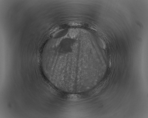 X0000116550277200912241601