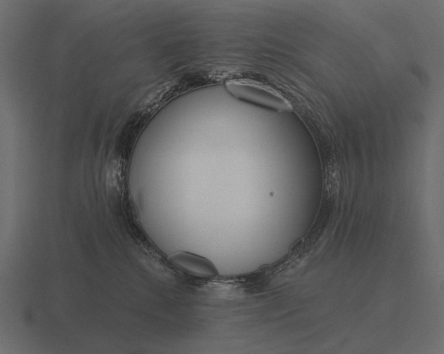 X0000116550280200912241601