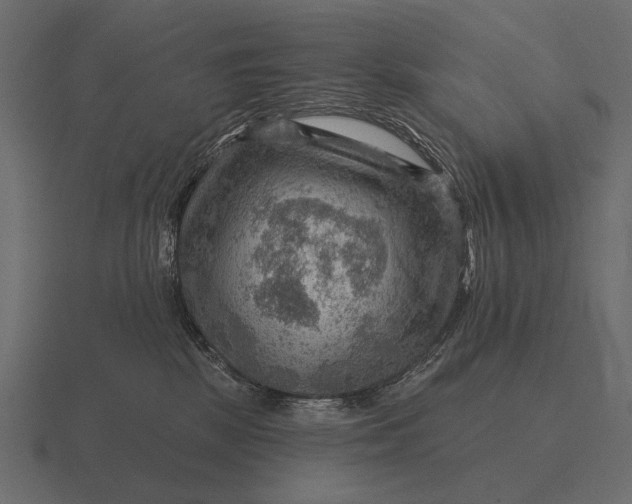 X0000116550281200912241601