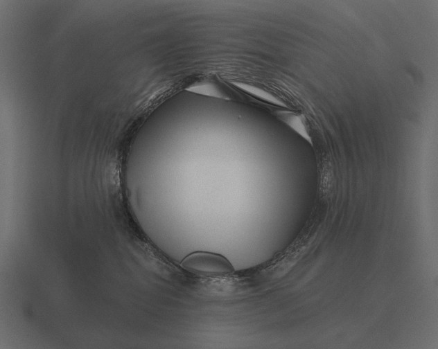 X0000116550282200912241601