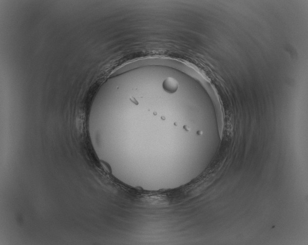 X0000116550283200912241601