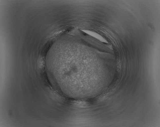 X0000116550284200912241601