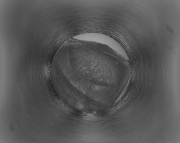 X0000116550285200912241601