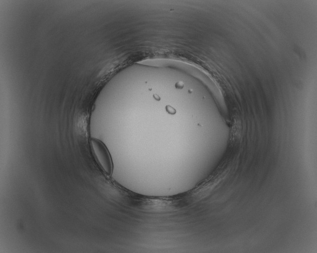 X0000116550286200912241601