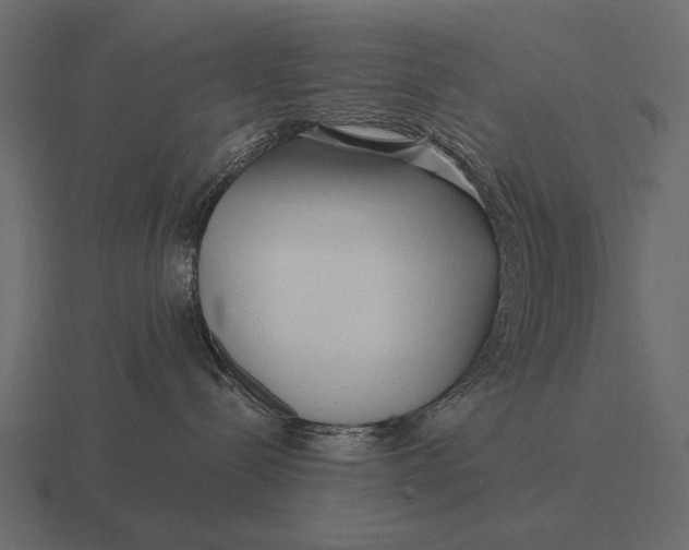 X0000116550288200912241601