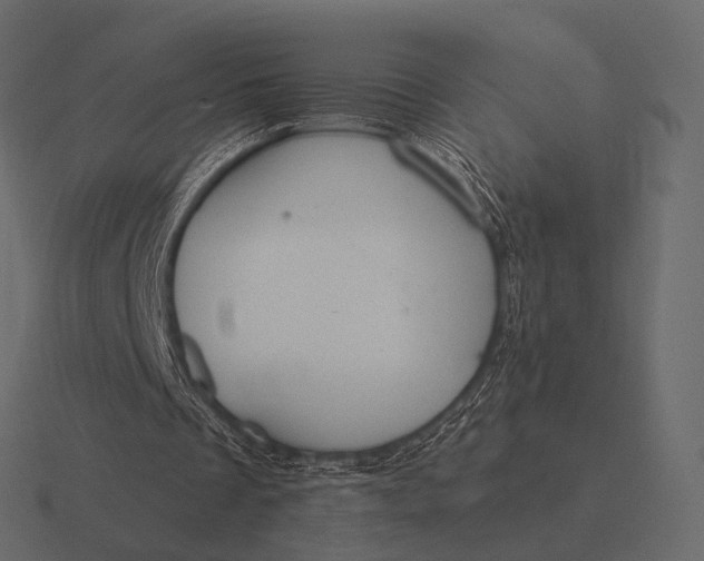 X0000116550289200912241601