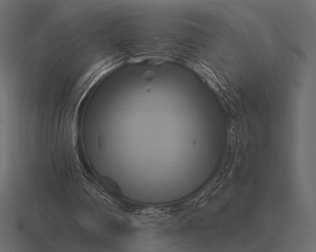 X0000116550290200912241601