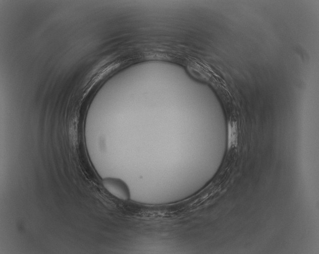 X0000116550291200912241601