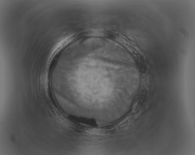 X0000116550293200912241601