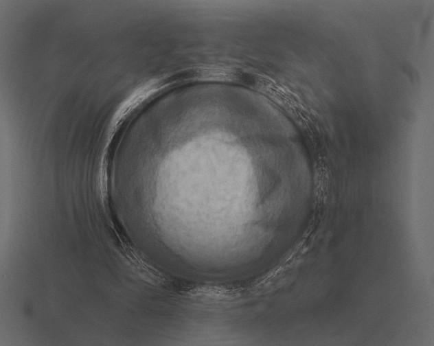 X0000116550294200912241601