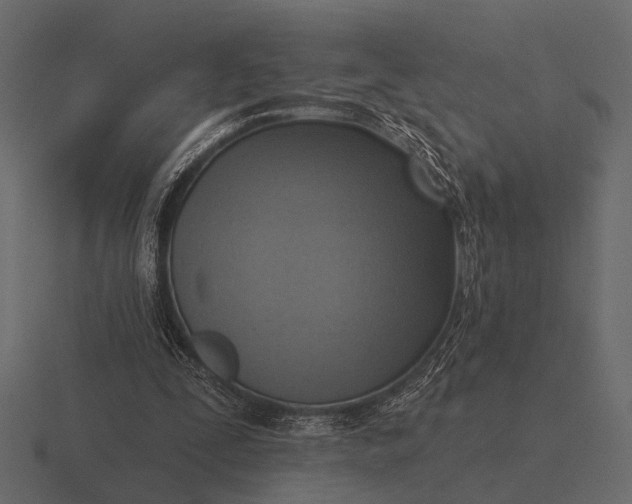 X0000116550295200912241600