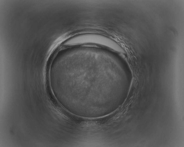 X0000116550296200912241600