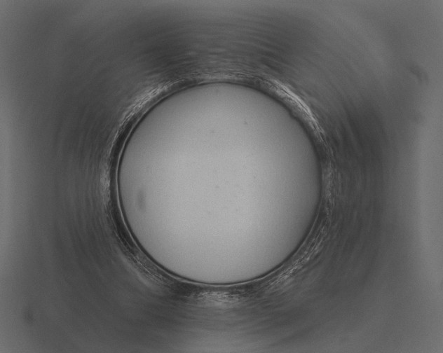 X0000116550298200912241600