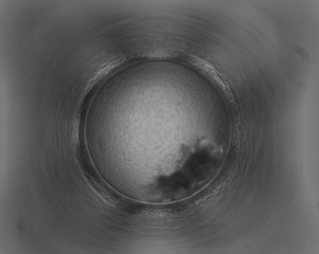 X0000116550299200912241600