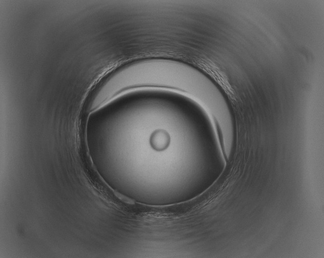 X0000116550300200912241600