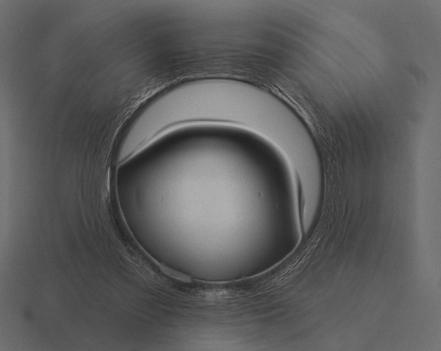 X0000116550301200912241600